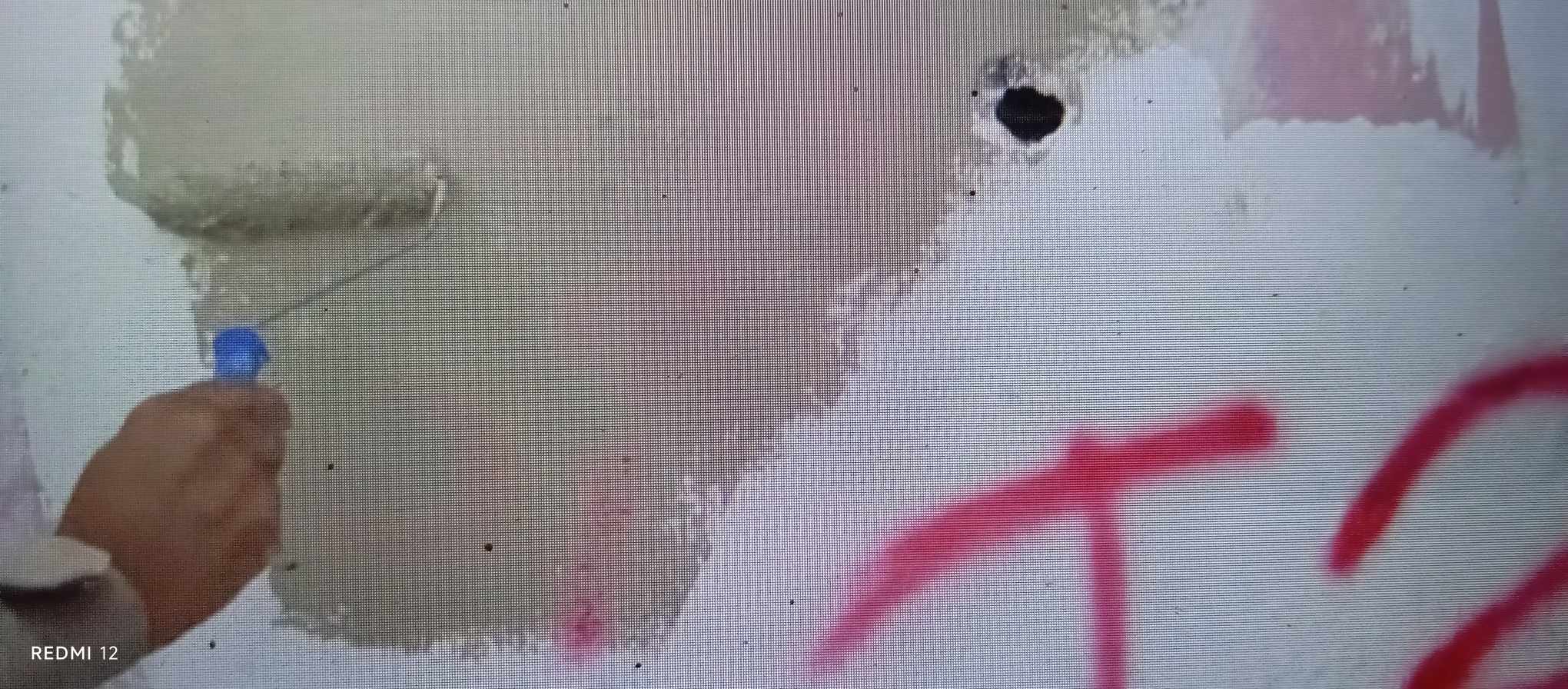 Policiais apagaram siglas de facções pintadas nas paredes das casas ?- Foto: Reprodução/TV Bahia