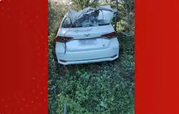 Engenheiro de 30 anos morre após atropelar vaca em rodovia na Bahia; carro ficou destruído. assista vídeo